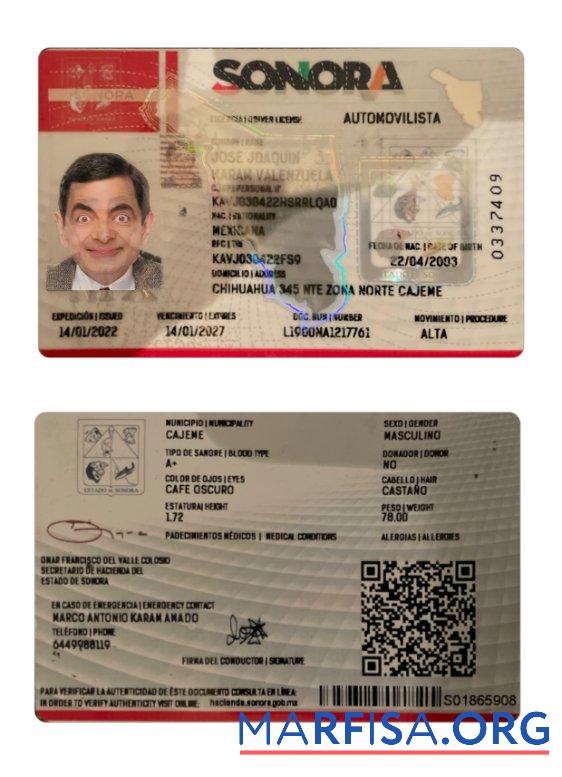 Downloadable Mexico Sonora state driving license real example